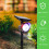 Black LED Projection Lamp Waterproof Outdoor Night Light Projector 2