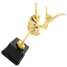 Troféu De Para Competições De Balé E Eventos Esportivos