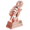Troféu Concurso Competição Prêmio 7