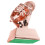 Troféu Concurso Competição Prêmio 6