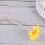 40 Unidades Decorativos Flor para e Sobremesas 5