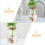 Pour Plantes, Station Hydroponique Couvercle Liège 6