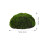 2 Gesimuleerde Moss Halfbol Bonsai Decoratie 10
