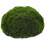 2 Gesimuleerde Moss Halfbol Bonsai Decoratie 1