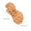 Creative Coussin Peluche Cacahuète 45 cm Pour Lit Bureau 2