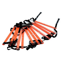 Agility Ladder 6M Length Outdoor Training Speed Ladder For Sports Fitness Various Training Scenarios