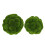 2 Pezzi Artificiale 15 E 20 Cm Verde Per Giardino 1