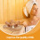 De Lombar Para Sauna, Spa Banho 10