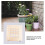 1 Caddy De Paletes Para Plantas Com 6