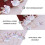 48 Cake Toppers , Feiner Einsteckpapier Für Kuchen 8