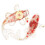 4Pcs Red Crystal Fish Statue Resin Craft Small Table Decoration 2