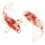 4Pcs Red Crystal Fish Statue Resin Craft Small Table Decoration 3