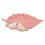 5Pcs Ceramic Food Tray Leaf Shape Serving Plate 1