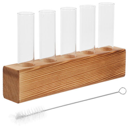 1 Set Hydroponische Vaas Terrarium Transparant Met Standaard