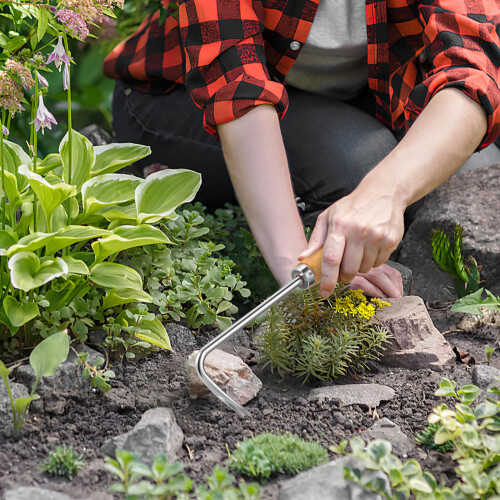Weeder- RVS Met Handvat Voor 2