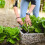 Weeder- RVS Met Handvat Voor 8