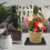 Plástico Espessado Para Plantas 20X20Cm Preto 7