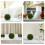 2 Unidades Bolas De Artificial Verde Para Decoração E Artesanato 7