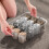 Multi Grid Aufbewahrungsbox Schubladentyp Sockenorganizer 9
