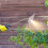 Sprayer Drift Guard: Windgeschützte Sprühlanze Für 5
