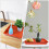 6 Unidades De Plástico Para De E Plantas 9
