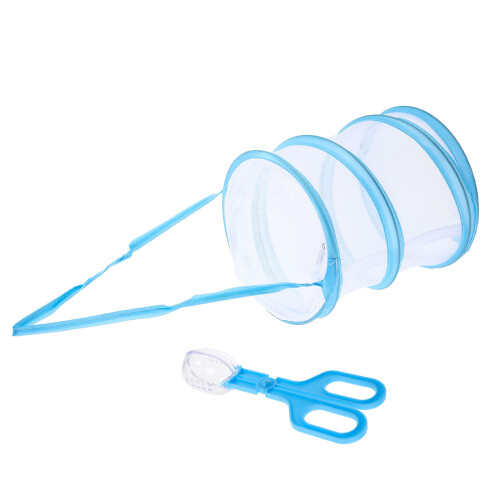 Conjunto De De Para Insetos E Borboletas
