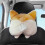 1 PC Tissue Box Cover Corgi Butt Shaped Fun Soft Creative Hanging Pouch Storage Bag Tissue Box Wrapper 3