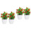 4 Künstlicher , Topfobstbaum, Bonsai- , 6