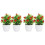 4 Künstlicher , Topfobstbaum, Bonsai- , 4