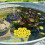 4 Insecten Voederstation Waterbak Buiten 7