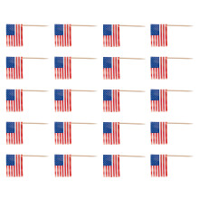 100 Stuks Amerikaanse Tandpicks Fruitprikkers