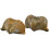 2pcs Brachiopod Paleontology Fun Science Ornaments Teaching Props 2