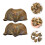 2pcs Brachiopod Paleontology Fun Science Ornaments Teaching Props 3
