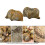 2pcs Brachiopod Paleontology Fun Science Ornaments Teaching Props 7