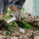 Gardening Handtrowel Ergonomisch Handvat Voor Graven 3