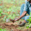 Gardening Handtrowel Ergonomisch Handvat Voor Graven 4
