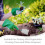Gardening Handtrowel Ergonomisch Handvat Voor Graven 6