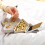 2Pcs Ps Plastic Fruit Dish Snack Tray White Safe Durable Storage 8