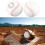 2Pcs 12in Softball Ball Training Softball Hand 10