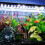 Aquarium Light Full Spectrum Adjustable Brightness LED With 11