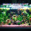 Aquarium Light Full Spectrum Adjustable Brightness LED With 10