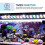 Aquarium Light Full Spectrum Adjustable Brightness LED With 7