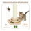 (DuoClimb) Skylos Tall Cat Scratching Post Natural Sisal 5