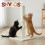 (DuoClimb) Skylos Tall Cat Scratching Post Natural Sisal 8