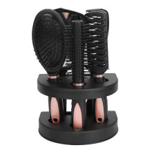 Stylish 5PCS Hair Brush Kit with Detangling Comb and Stand Holder