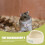 Ceramic Hamster Food Bowl Small Pets Feeder Container Pet Supply 8
