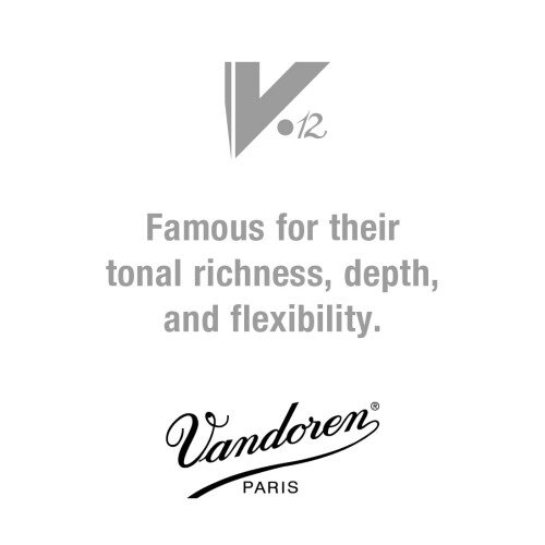 Vandoren CR194 BB klarnetu V12 stroi 1