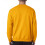 Champion Champion Double Dry Action Fleece Crew 4