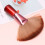 Fan Shape Nylon Bristles Makeup Brush Acrylic Handle Light Brown 10