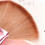 Fan Shape Nylon Bristles Makeup Brush Acrylic Handle Light Brown 6
